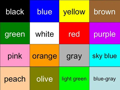 Easy English listening Lesson 39 - Colors
