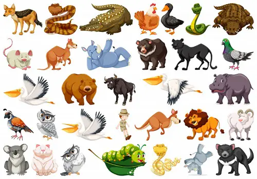 Easy English listening Lesson 40 - Wild Animals