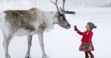 VOA Learning English - Saving Reindeer and a Community in Mongolia