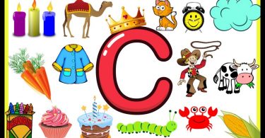 Words That Start With C | 100 Words Start with Letter C