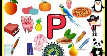 Words That Start With P | 100 Words Start with Letter P