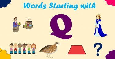 Words That Start With Q | 100 Words Start with Letter Q