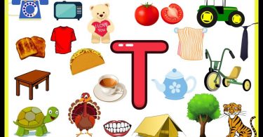 Words That Start With T | 100 Words Start with Letter T