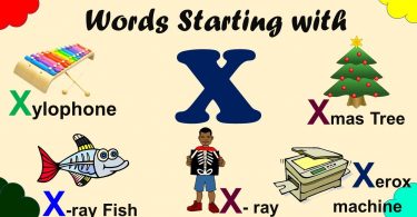 Words That Start With X | Common Words Start with Letter X