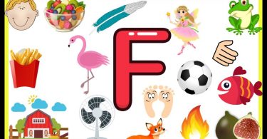 Words That Start With F | 100 Words Start with Letter F