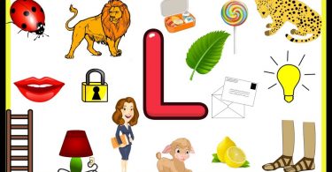 Words That Start With L | 100 Words Start with Letter L
