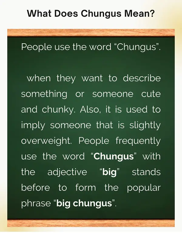 chungus-meaning-what-does-chungus-mean