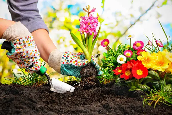 Short Story in English 10 - In the Garden