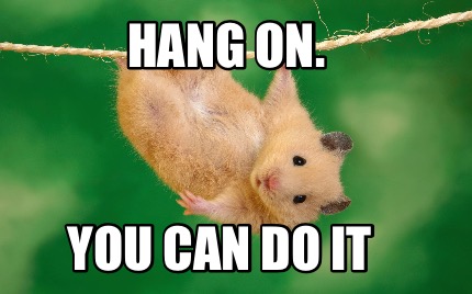 44 - Hang on, You can do it meme